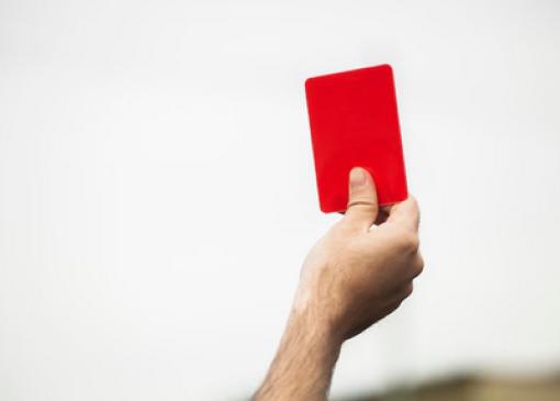 Afhandeling opgevangen duiven
