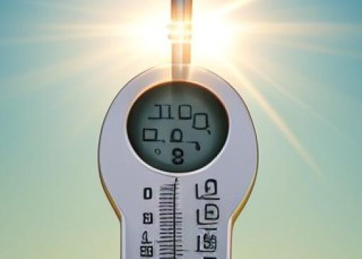 Hitteprotocol voor donderdaginkorvingen