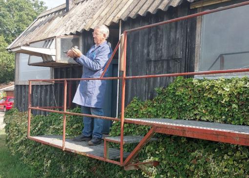 Wedstrijdverslag jonge duivenvlucht J28