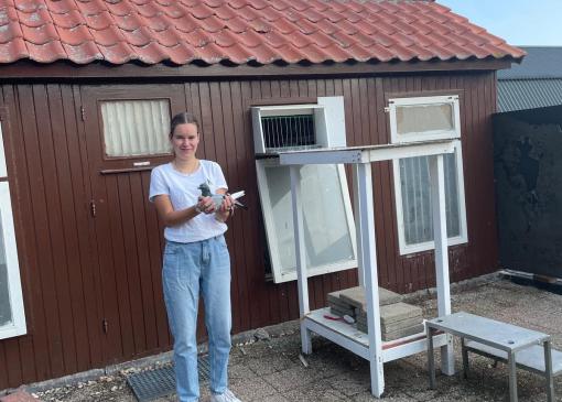 Annemiek Tiggelman wint LL Morlincourt