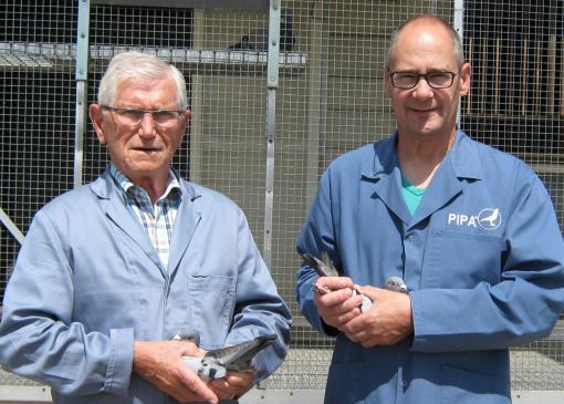 P. Lindelauf winnaar en Grootmeester F33