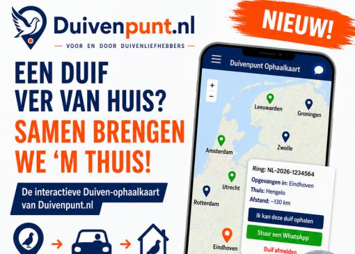 Nieuw: Duiven Ophaalkaart