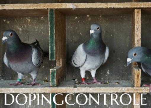 Complimenten voor de dopingcontroleurs